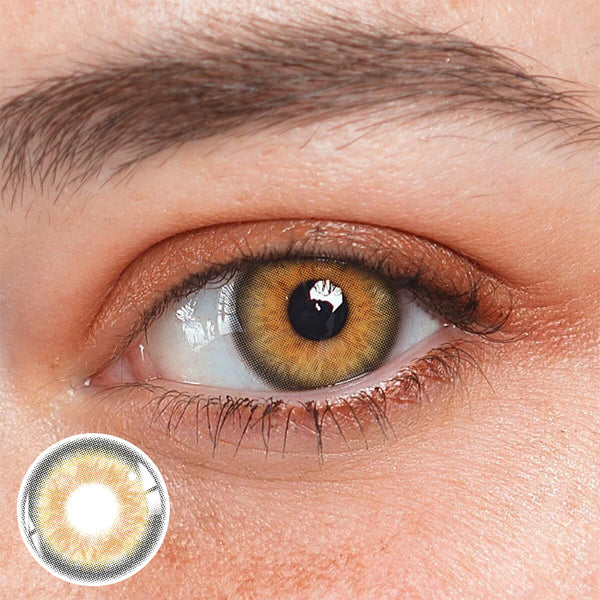 Paloma Venus Khaki Brown Yearly Contact Lenses